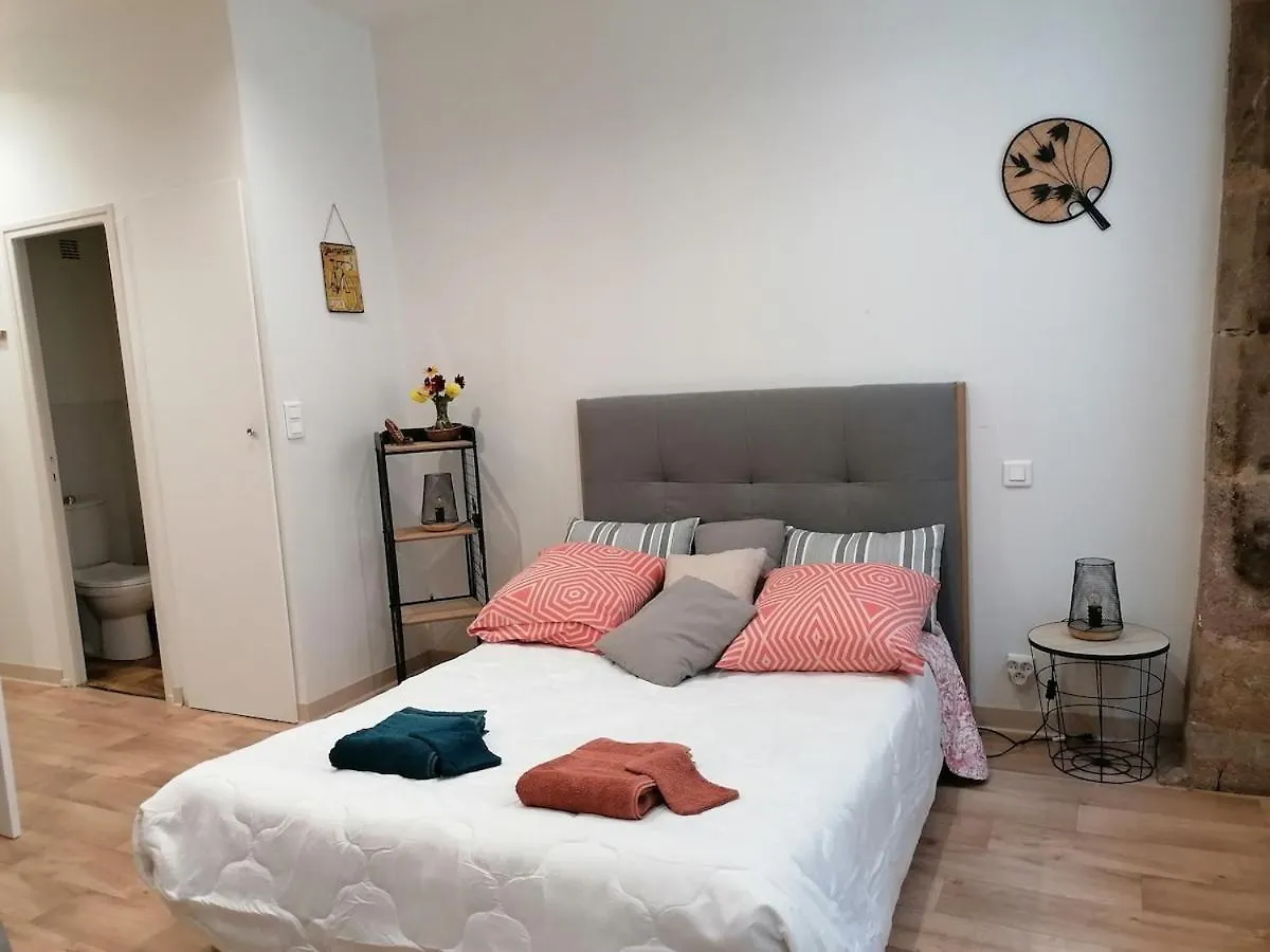 Studio Renove 26 M2 Centre Historique Rodez Frankrig